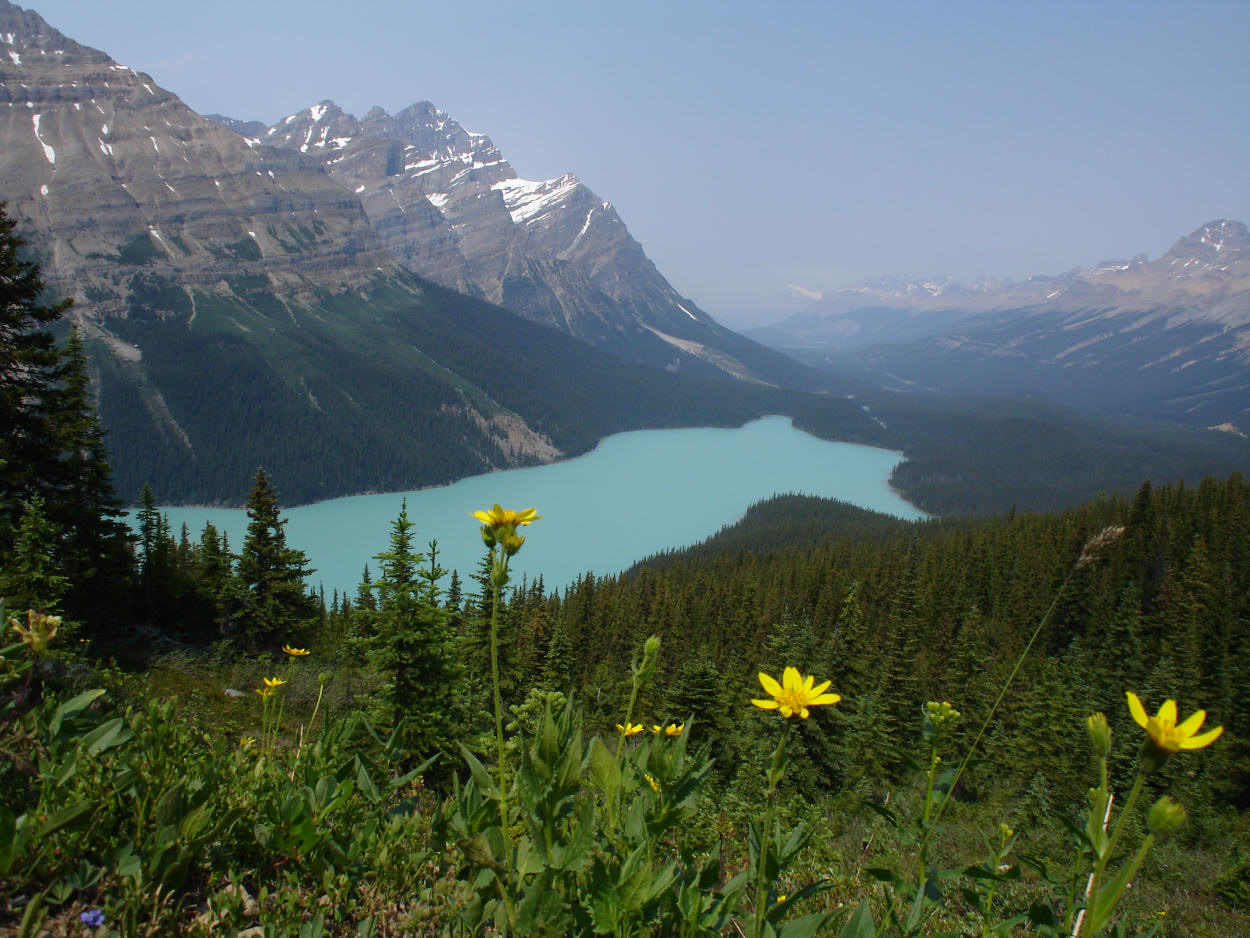 Peyto Lake