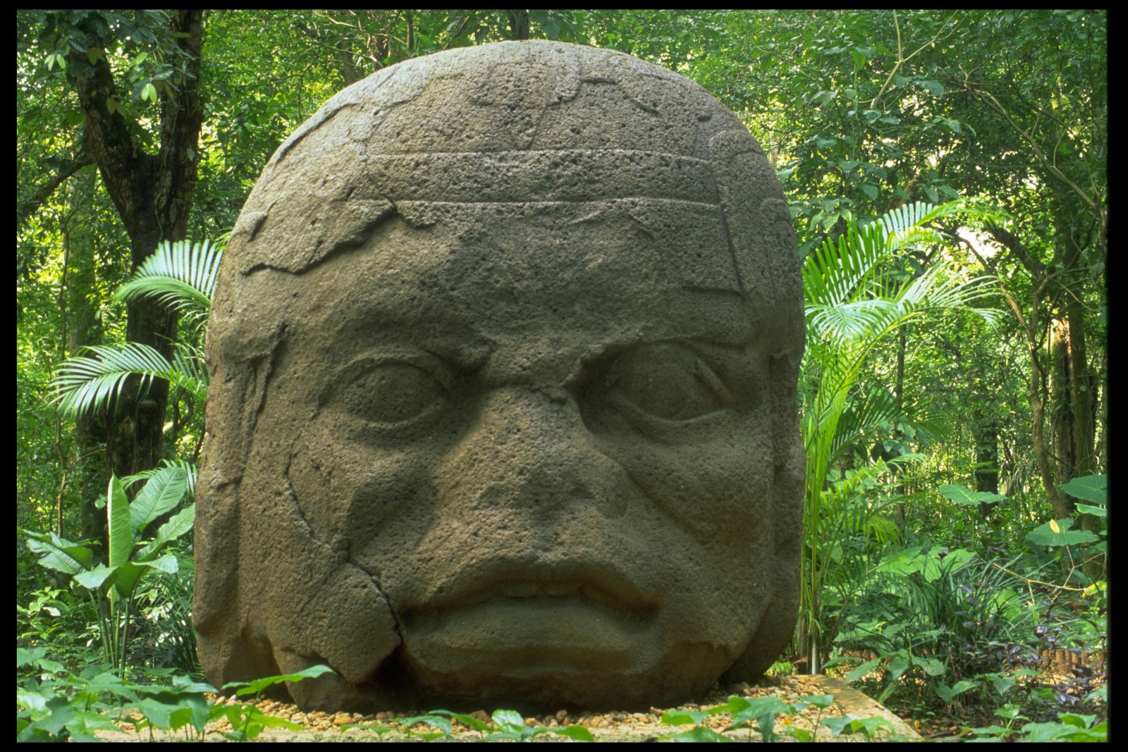 Olmekenkopf, Parque-Museo La Venta, Villahermosa, Mexiko