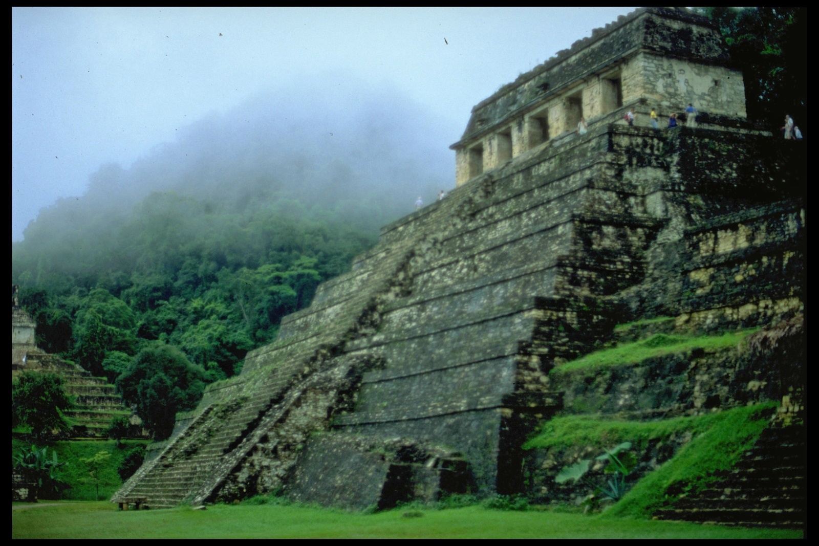 Mayapyramide (Tempel der Inschriften) in Palenque, Mexiko