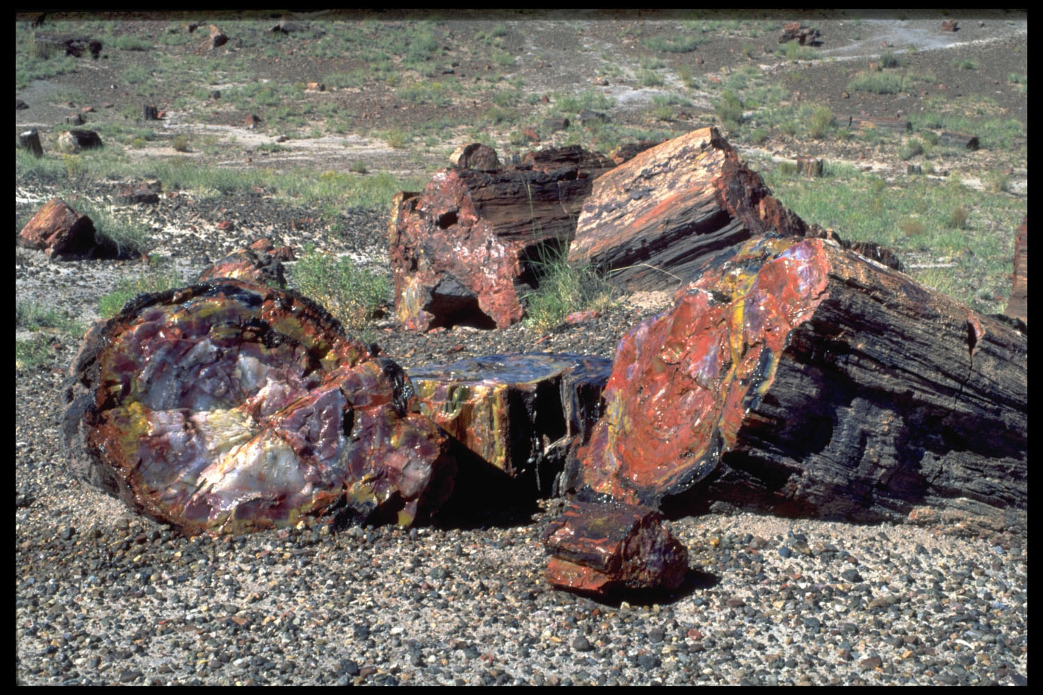 Petrified Forest Nationalpark, Arizona, USA