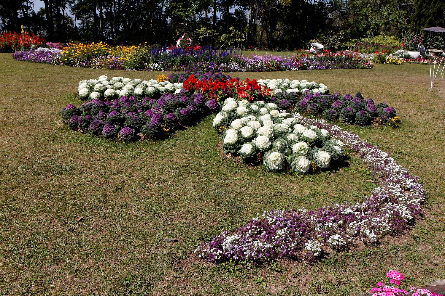 Blumen im Bhubing Palast Park