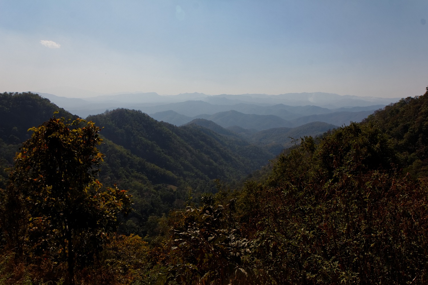 Ausblick auf den Samoeng Forest
