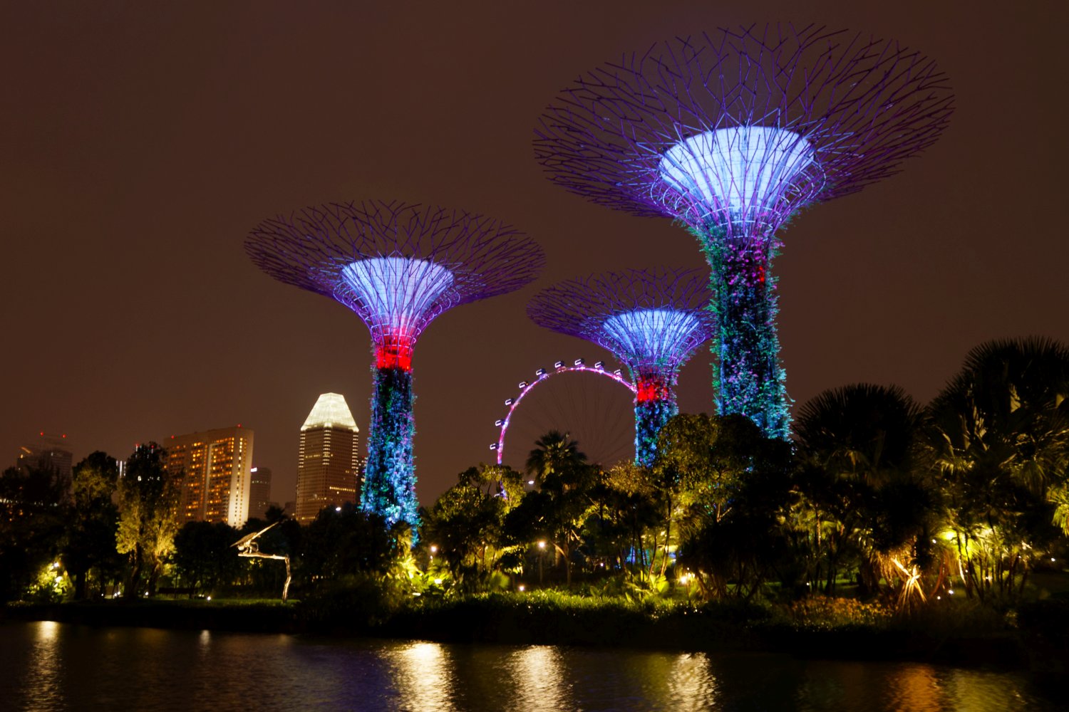 Gardens by the Bay by night
