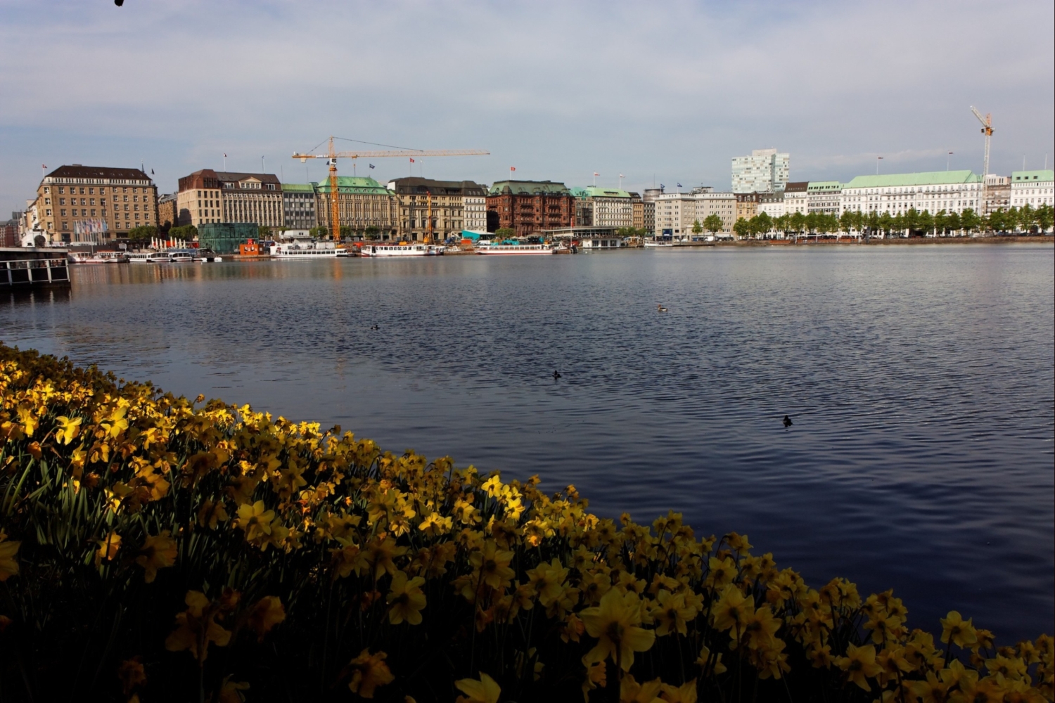 Binnenalster, Hamburg