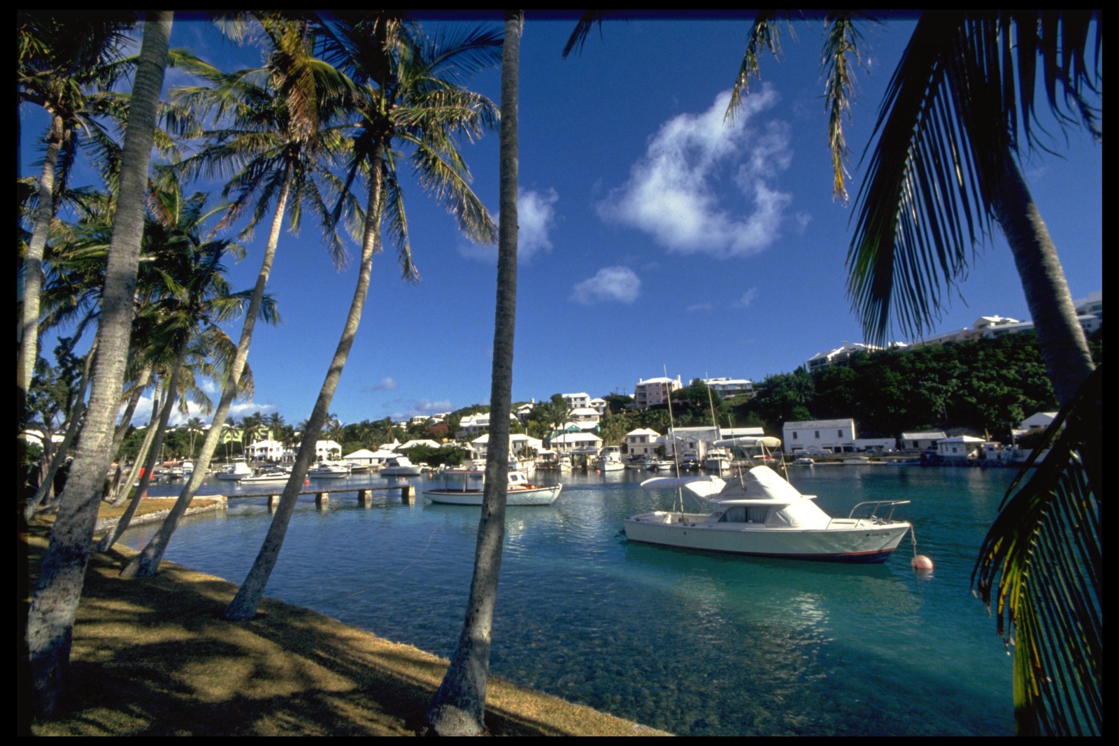 Fischerboote bei Flats Village, Bermudas