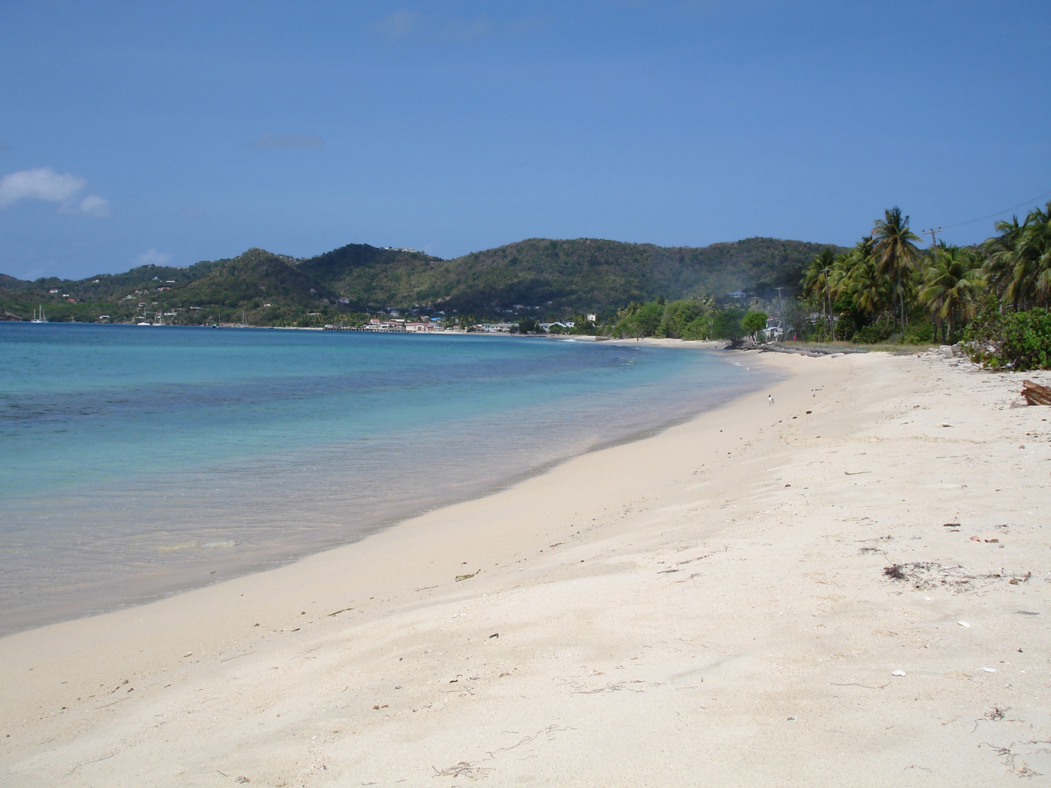 Strand auf Carriacou Island
