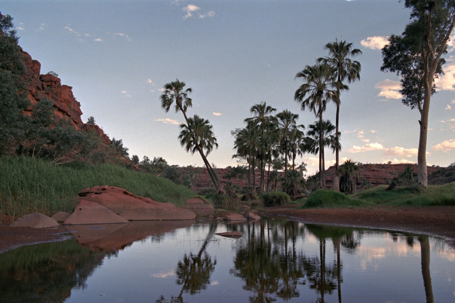 Palm Valley, Zentralaustralien