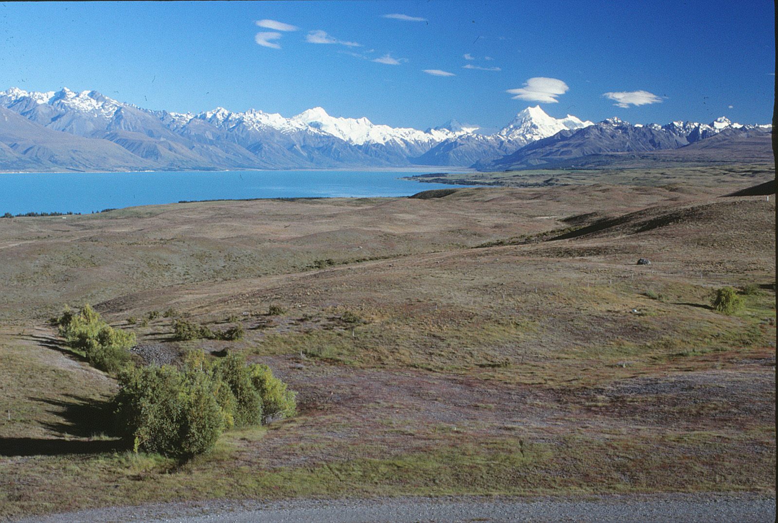 Lake Tekapo, Neuseeland Südinsel