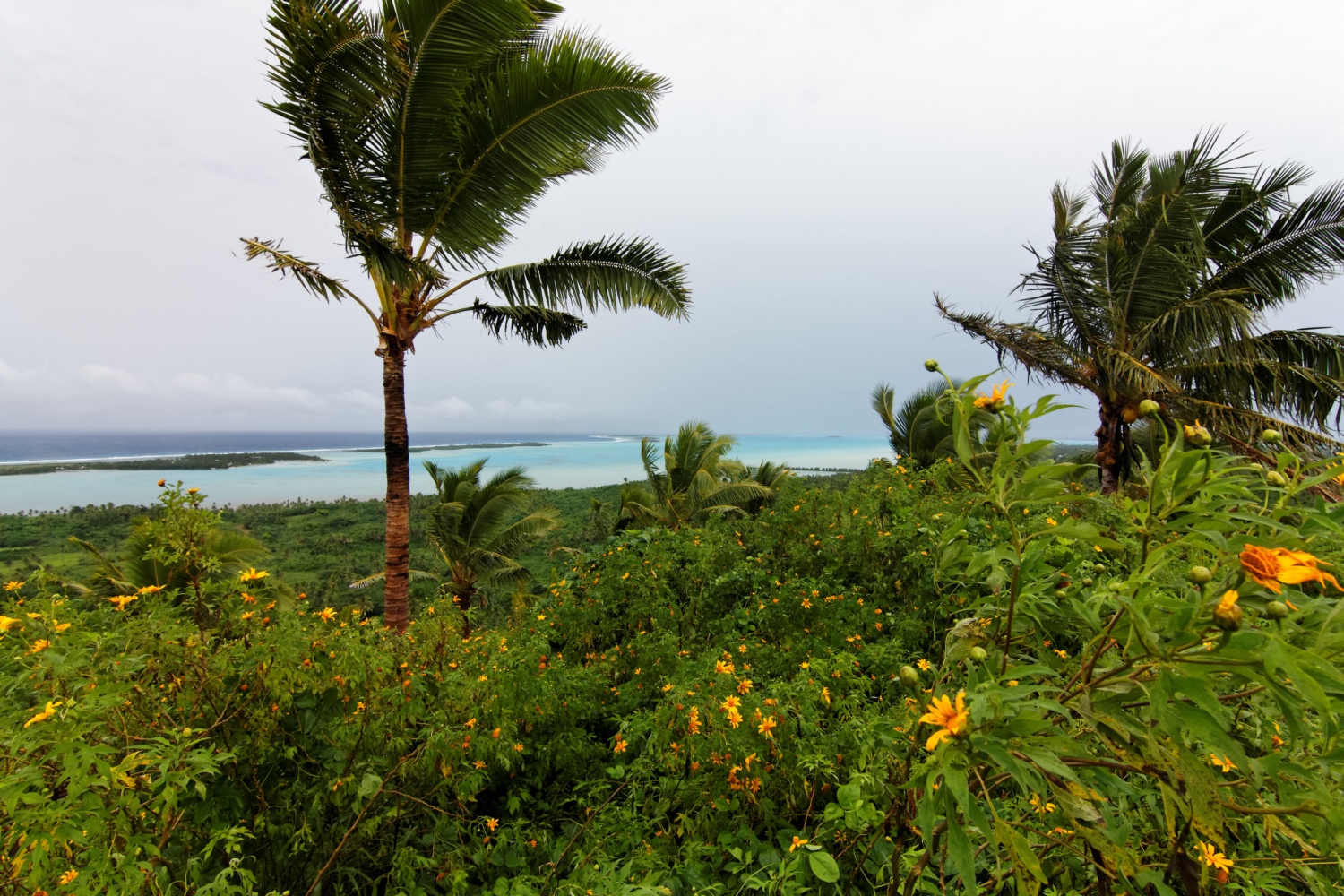 Lagune von Aitutaki, Cook Inseln