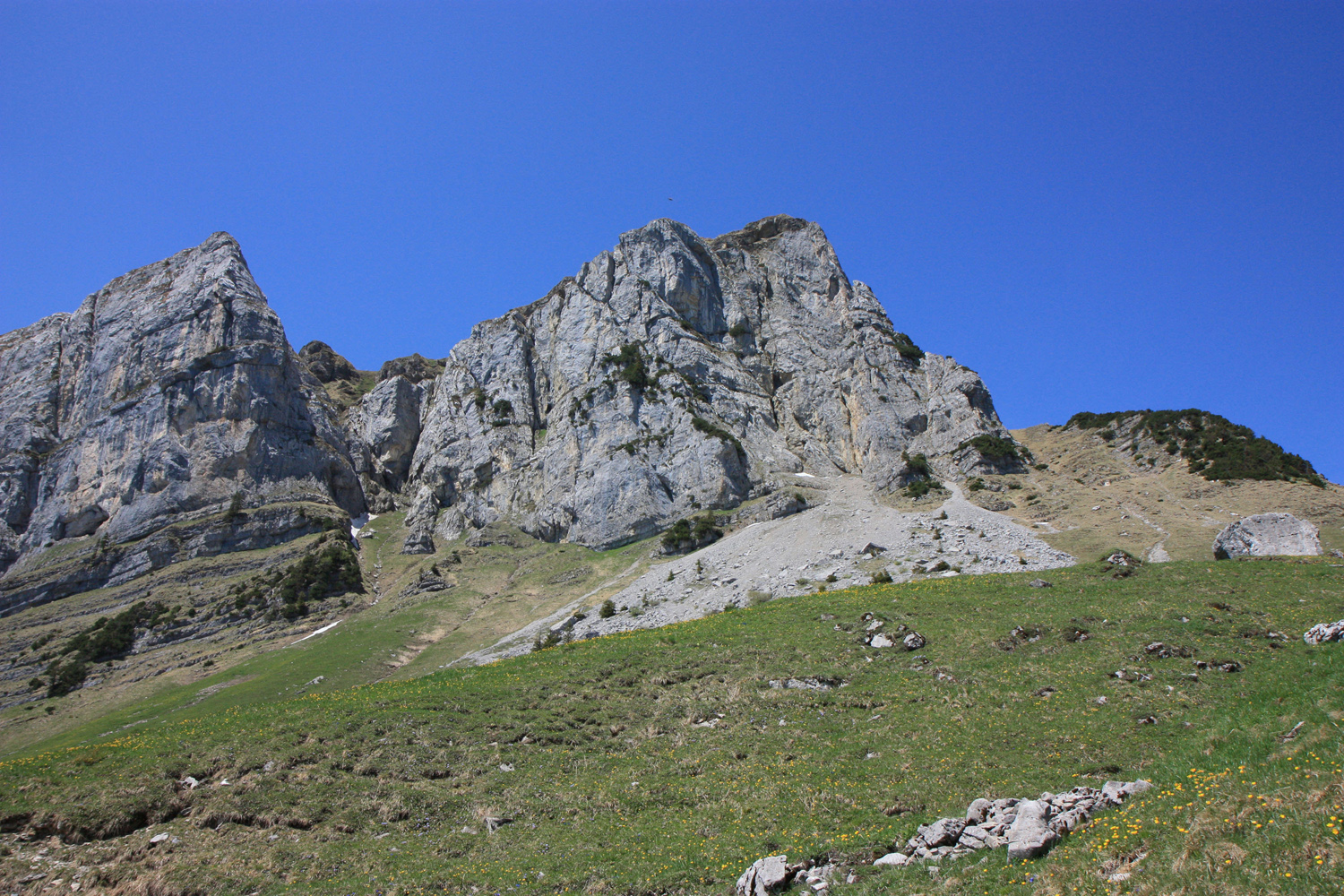Ausblick zum Niederbauenstock