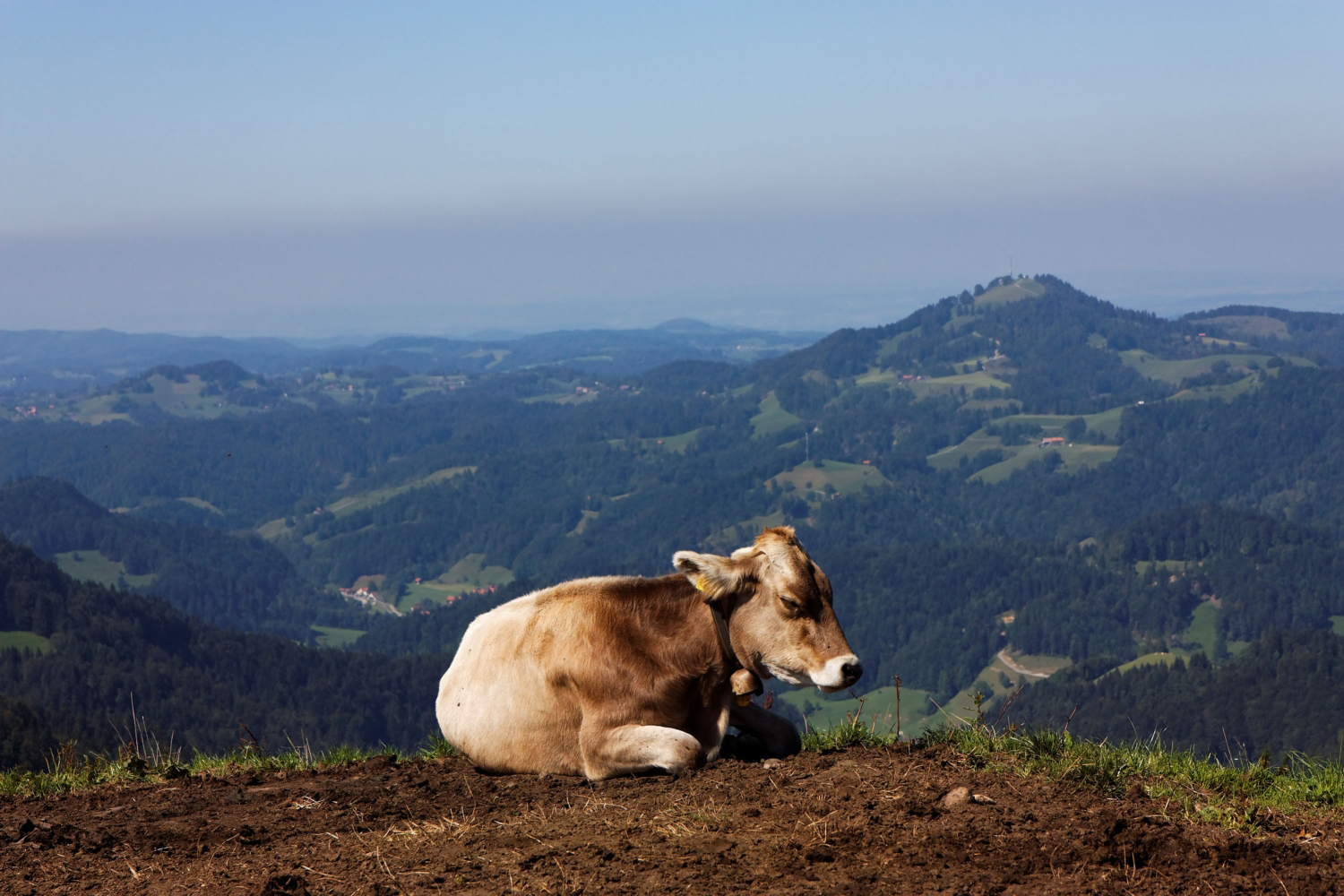 Hüttchopf im Zürcher Oberland